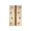 Fixed Pin - Hinge - 60mm Wide - Polished Brass